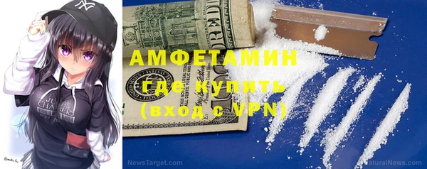 индика Пересвет