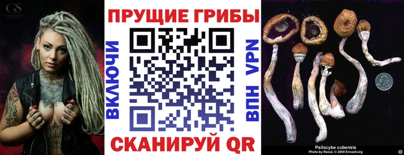 Галлюциногенные грибы прущие грибы купить цена Лиски